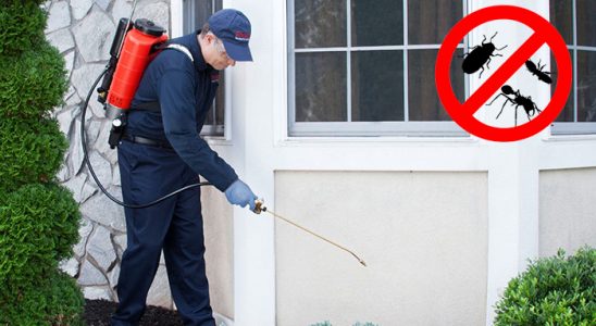 Narlıdere Kene İlaçlama böcek ilaçlama ve haşere kontrolü — ilaclama-tr.com